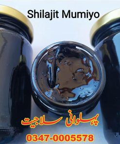 Salajeet EtoPk Shilajit سلاجیت