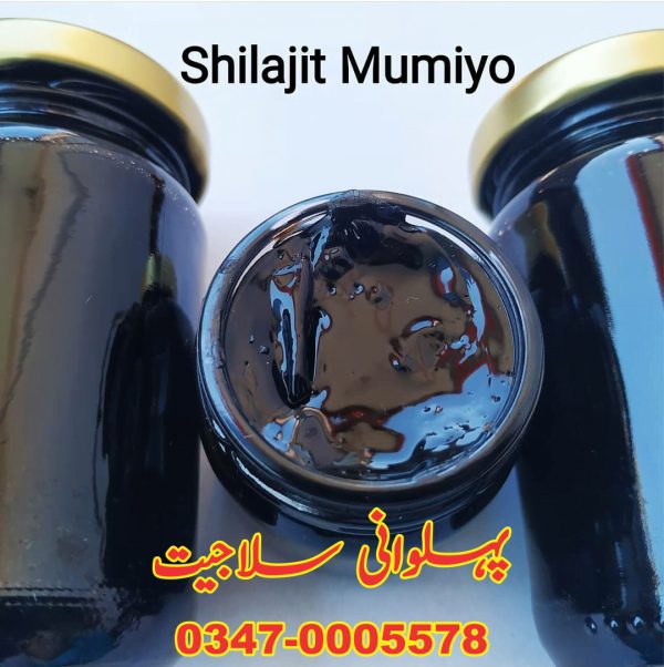 Salajeet EtoPk Shilajit سلاجیت