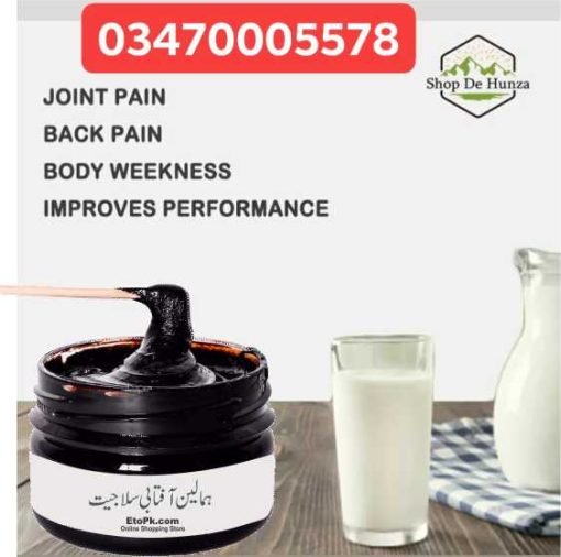 Salajeet EtoPk Shilajit