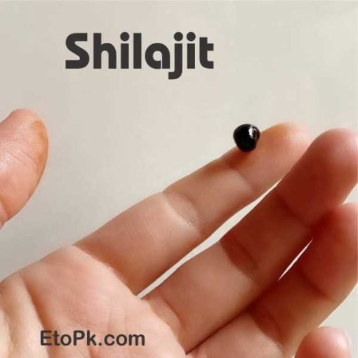 Salajeet EtoPk Shilajit سلاجیت