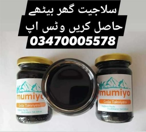 Salajeet EtoPk Shilajit سلاجیت