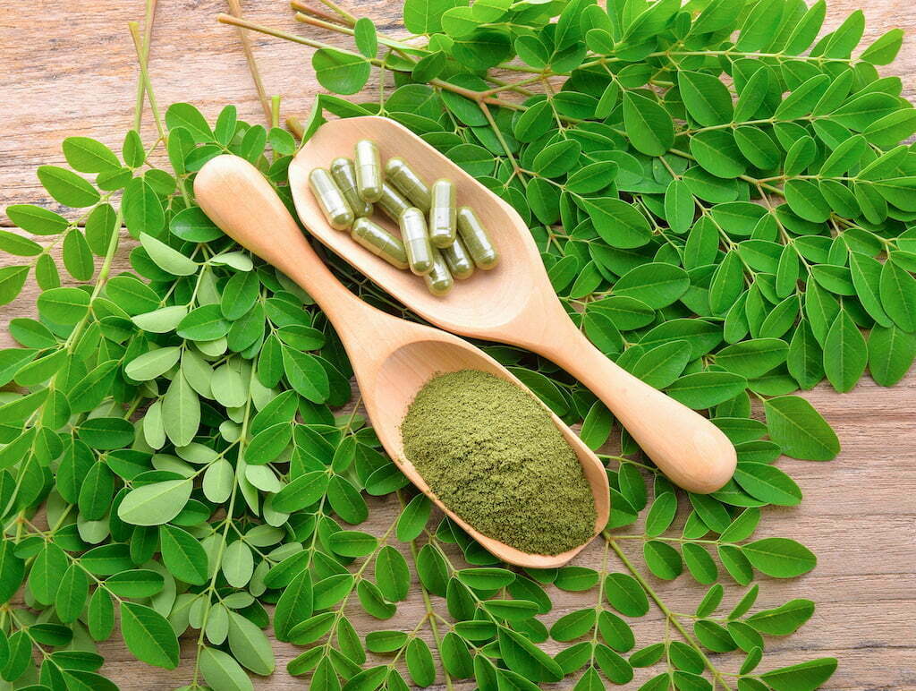 moringa leaf and powder capsule on wooden background