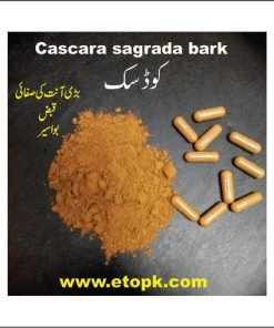 کوڈسک کیپسول