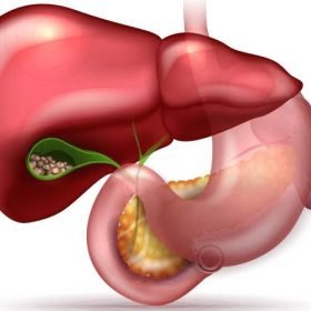 پتّہ (Gall Bladder) — ایک مختصر مگر اہم تعارف